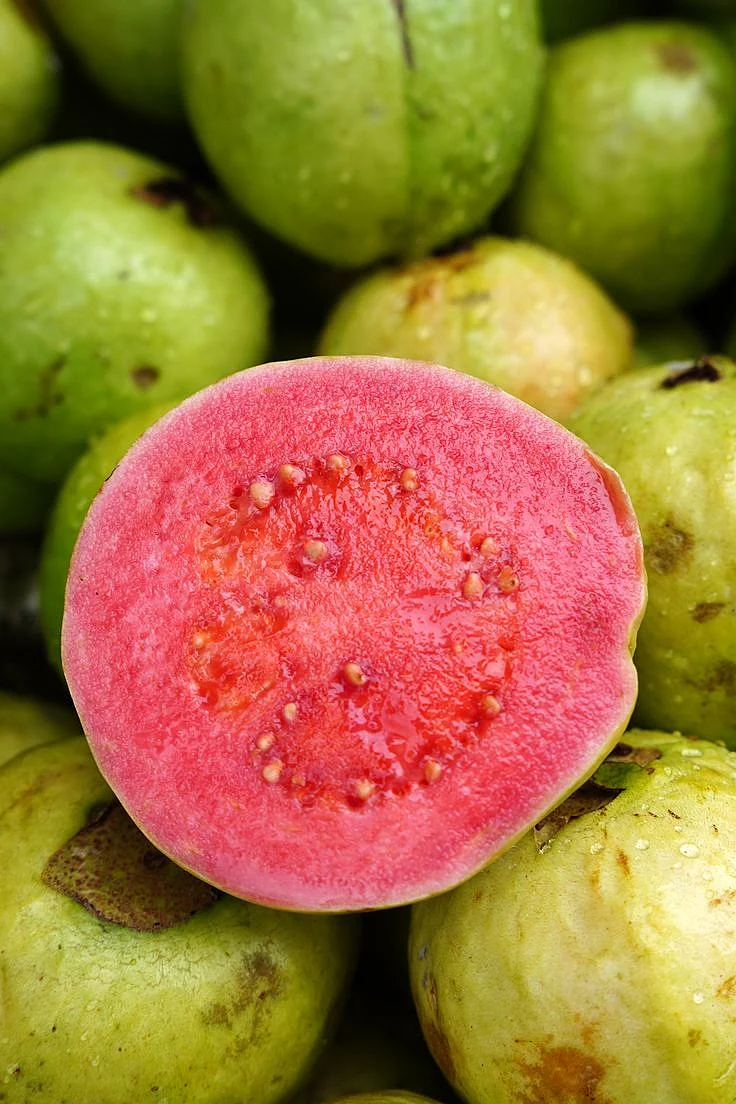 red guava