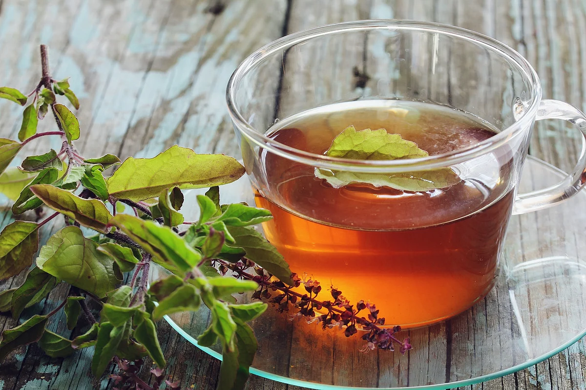 Tulsi Holy Basil Tea