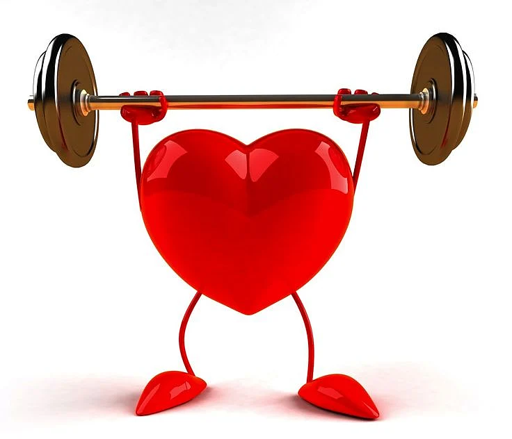 heart