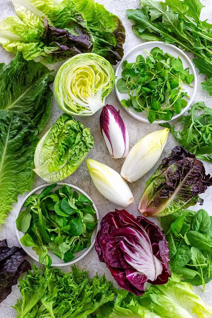 20 Types of Lettuce and Other Leafy Greens 1