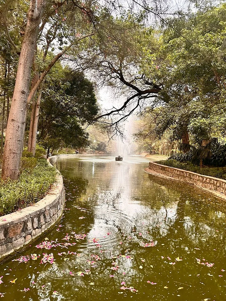 Lodhi gardendelhi