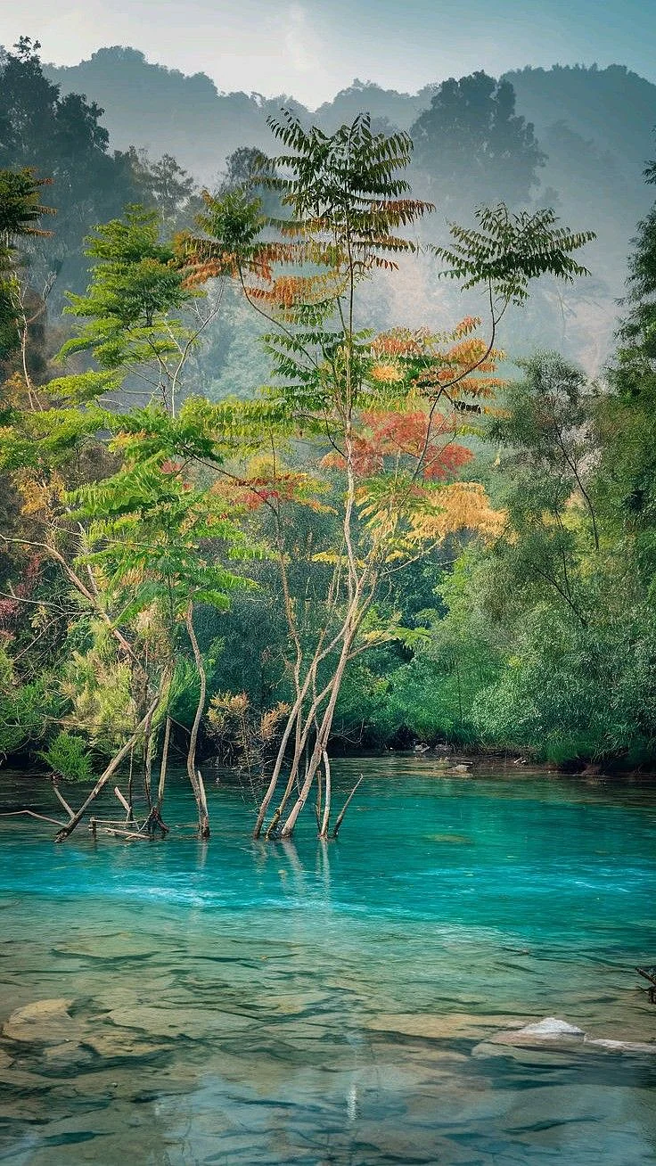 Nagaland