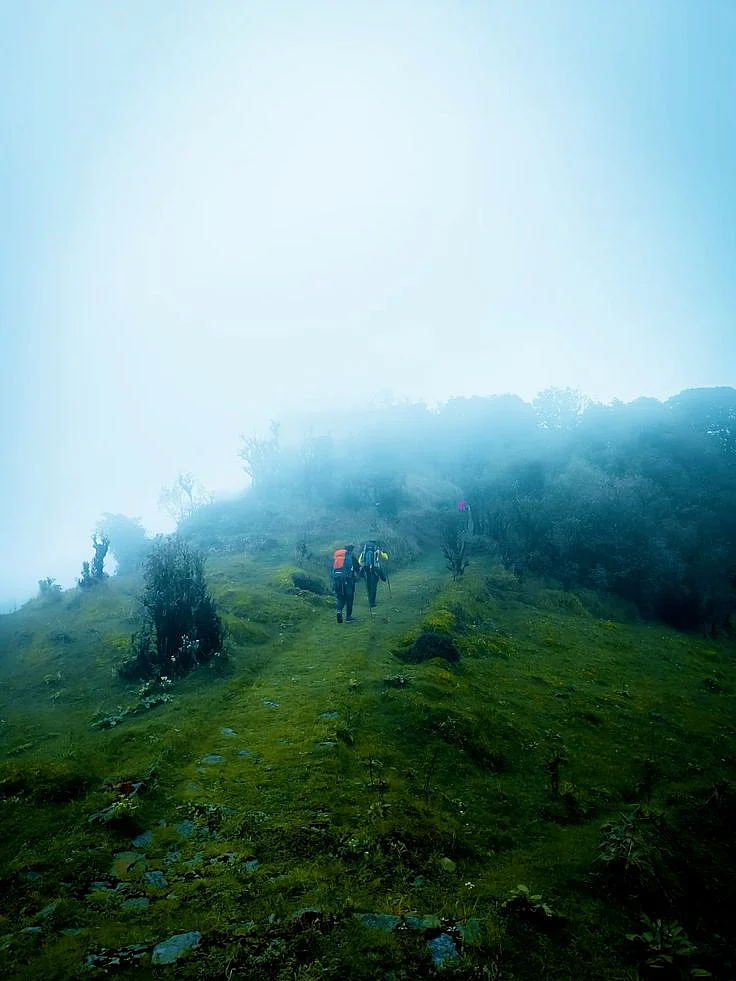 Singalila Range Sandakphu Phalut Trek