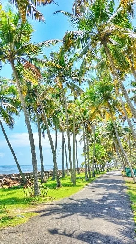 Walk to Marari Beach from Alleppey 🌴 the BEST day trip from Alleppey 🌴 Kerala India travel Flashpacking Kerala