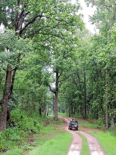 Gir National Park