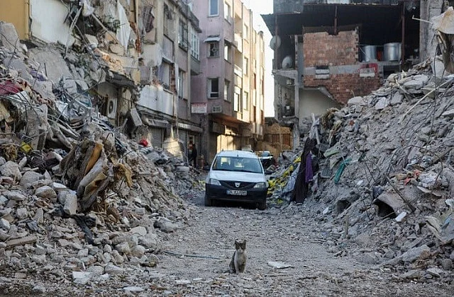 2023 2image 08 35 024134023turkey syriaearthquake