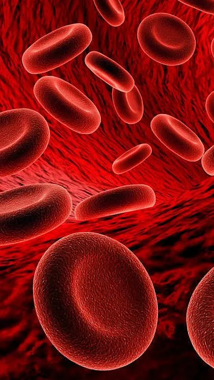 10 reasons why your body desperately needs Vitamin B12