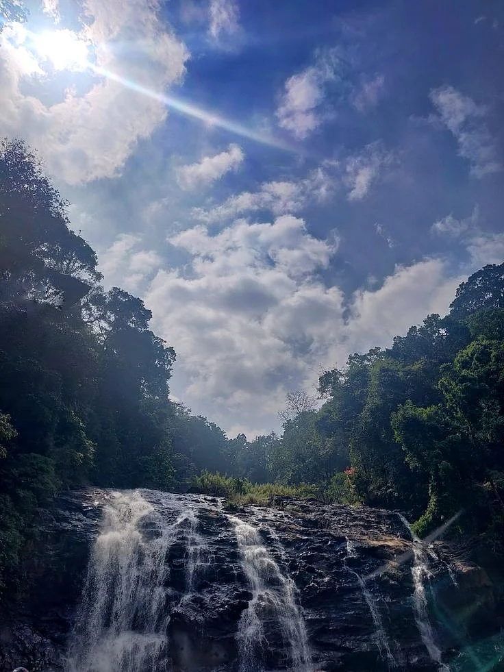 Abbey Falls Madikeri Travel India