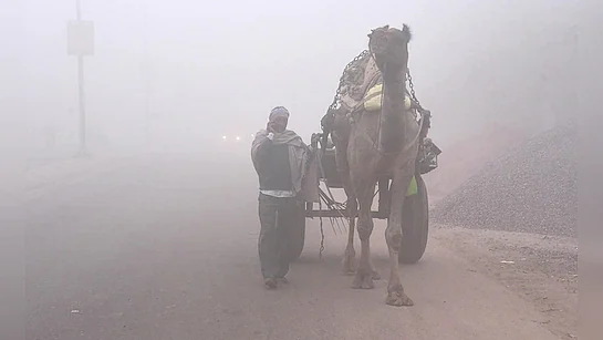 f2fftn5ocold in rajasthan
