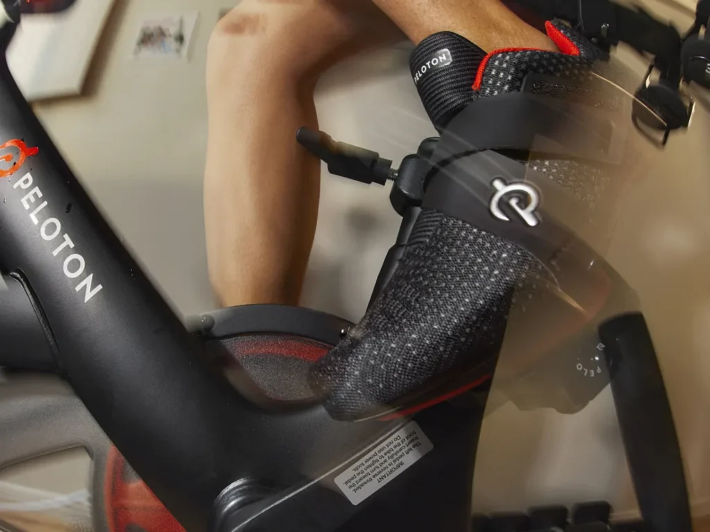 what muscles does a bike work
