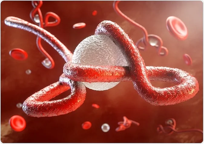 shutterstock 221914843
