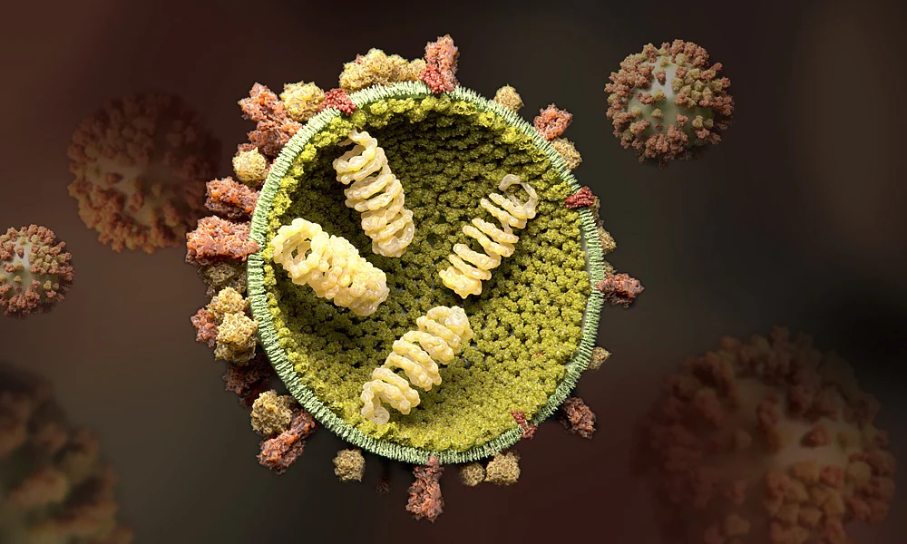 INFLUENZA EDIT