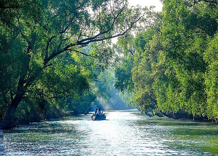 1024px BeautyofSundarbanriver 1