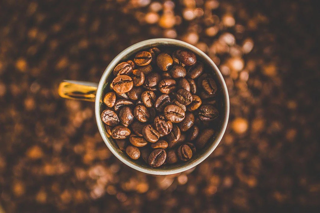negative space coffee cup full beans Custom 2