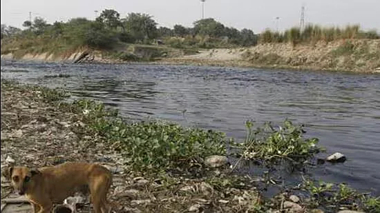 Bharadwaj said that the desilting and cleaning of 1688497007506