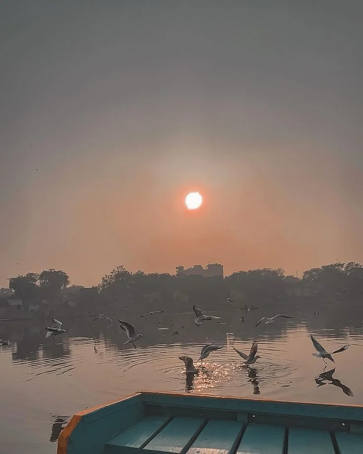 find peace in chaos 🕊️ 𝐃𝐚𝐲 𝟒𝟐𝟔𝟎 𝐨𝐟…