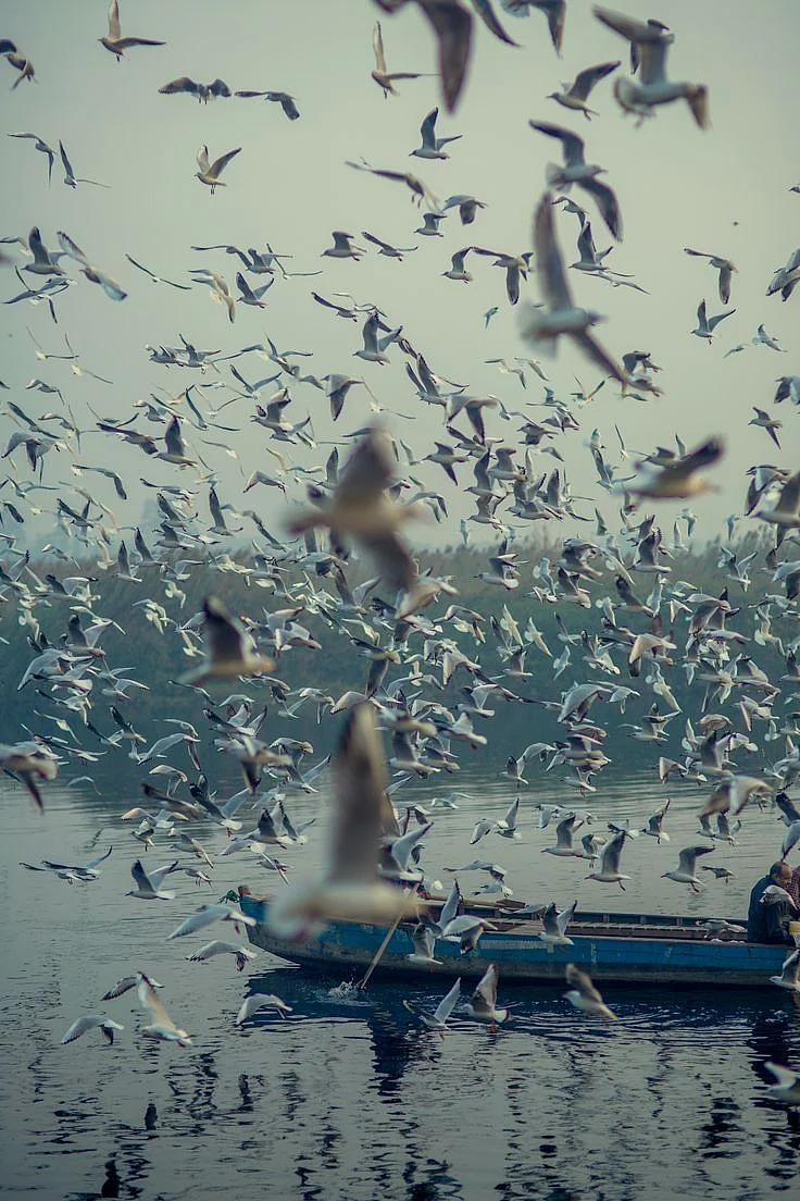 Yamuna Ghat 1