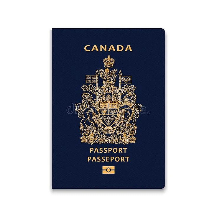 Passport Vector Illustration Stock Vector Illustration of emigration isolated 115848169