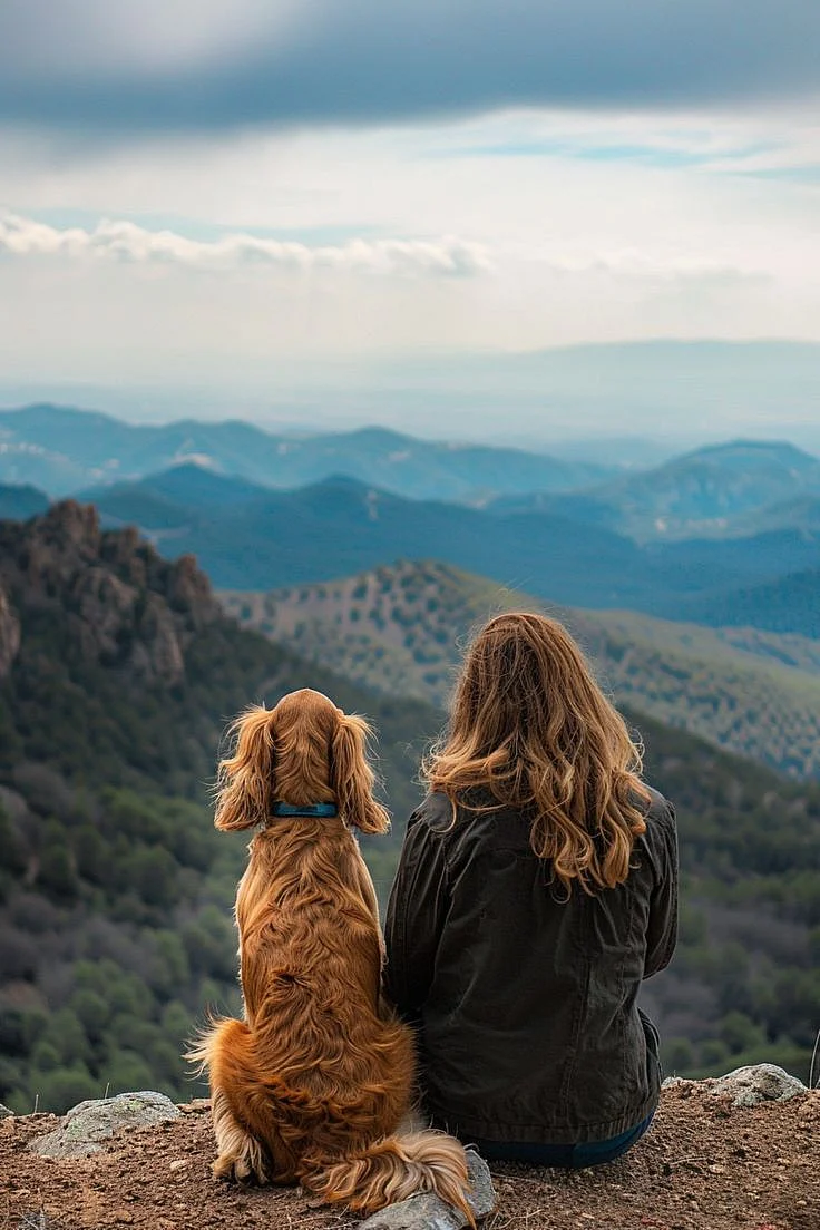 Wanderlust Wags Making Memories on Road Trips with Your Cocker Spaniel