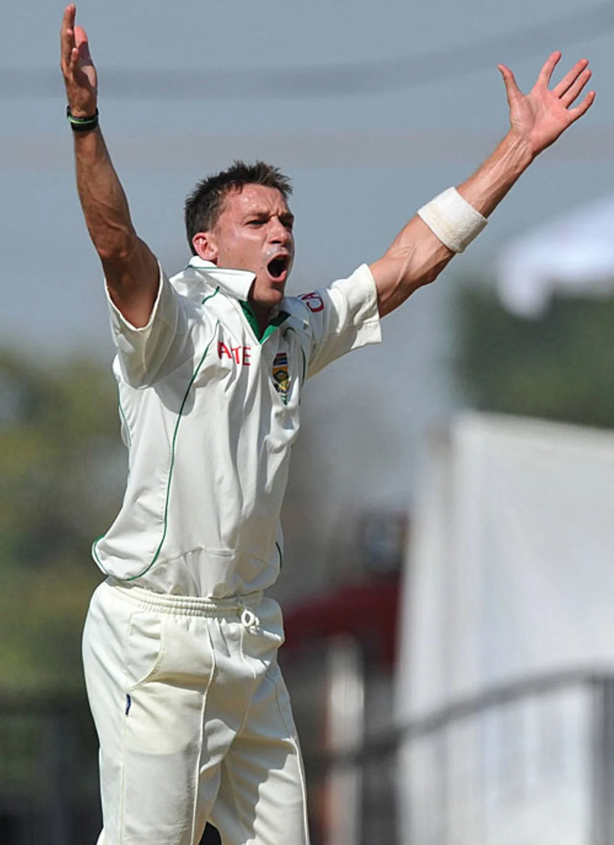 dale steyn 3