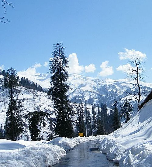 Kufri Himachal Pradesh