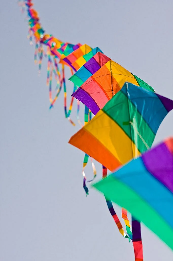 makar sankranti kites 4