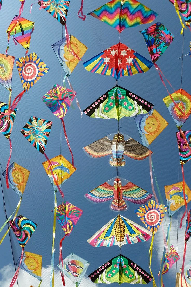 makar sankranti kites 2