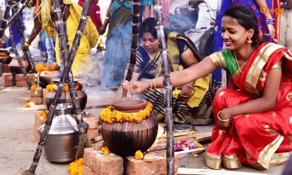 Pongal festival