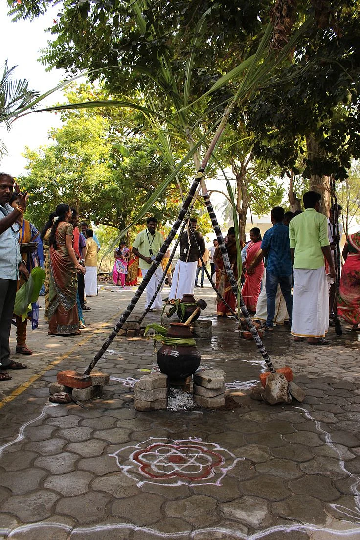 Pongal Celebrations at VeeTechnologies 2016 1