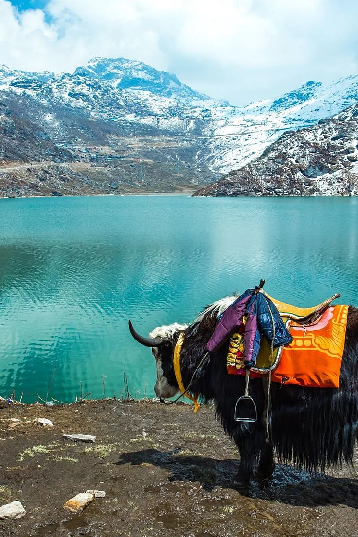 Gorgeous Tsangmo Lake in Sikkim India