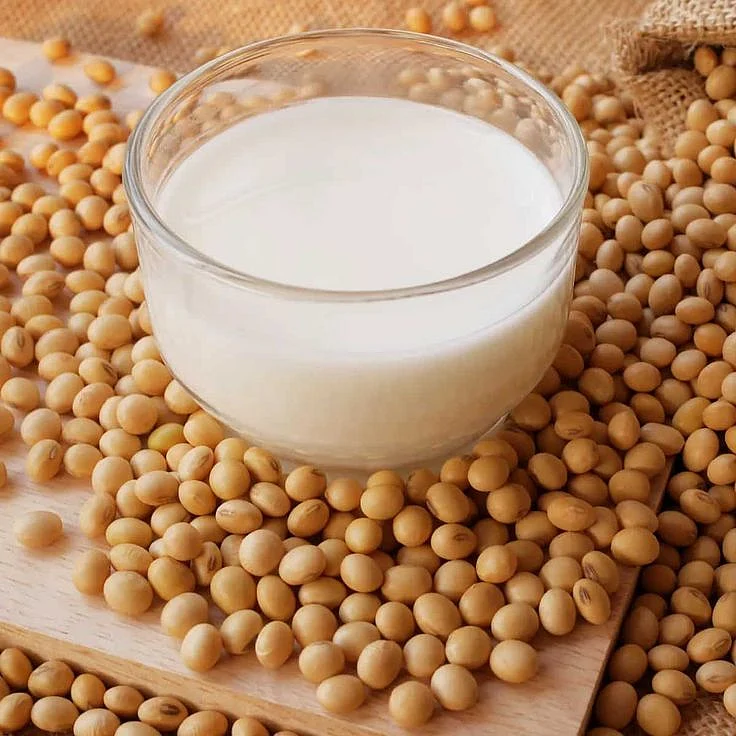 Homemade Soy Milk