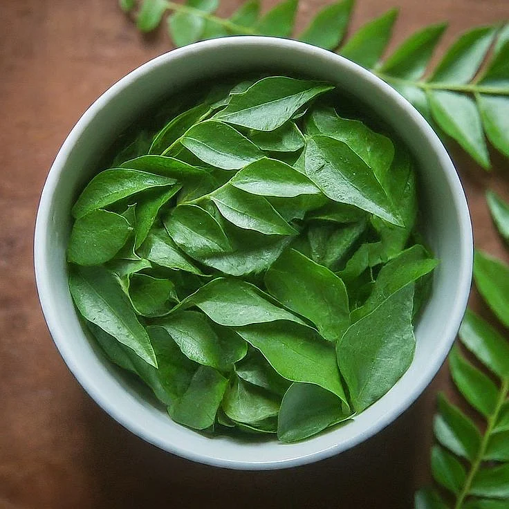 13 Lesser Known Curry Leaves Benefits To Improve Your Health