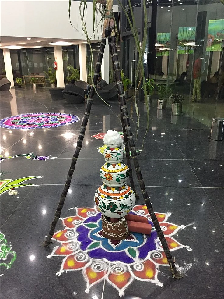 Pongal celebration 🎉