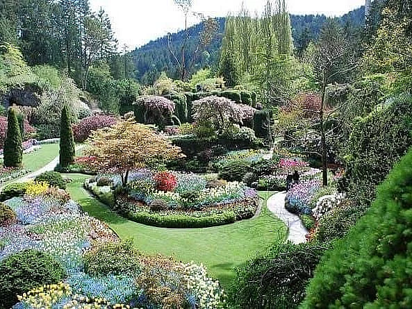 garden of five senses 2