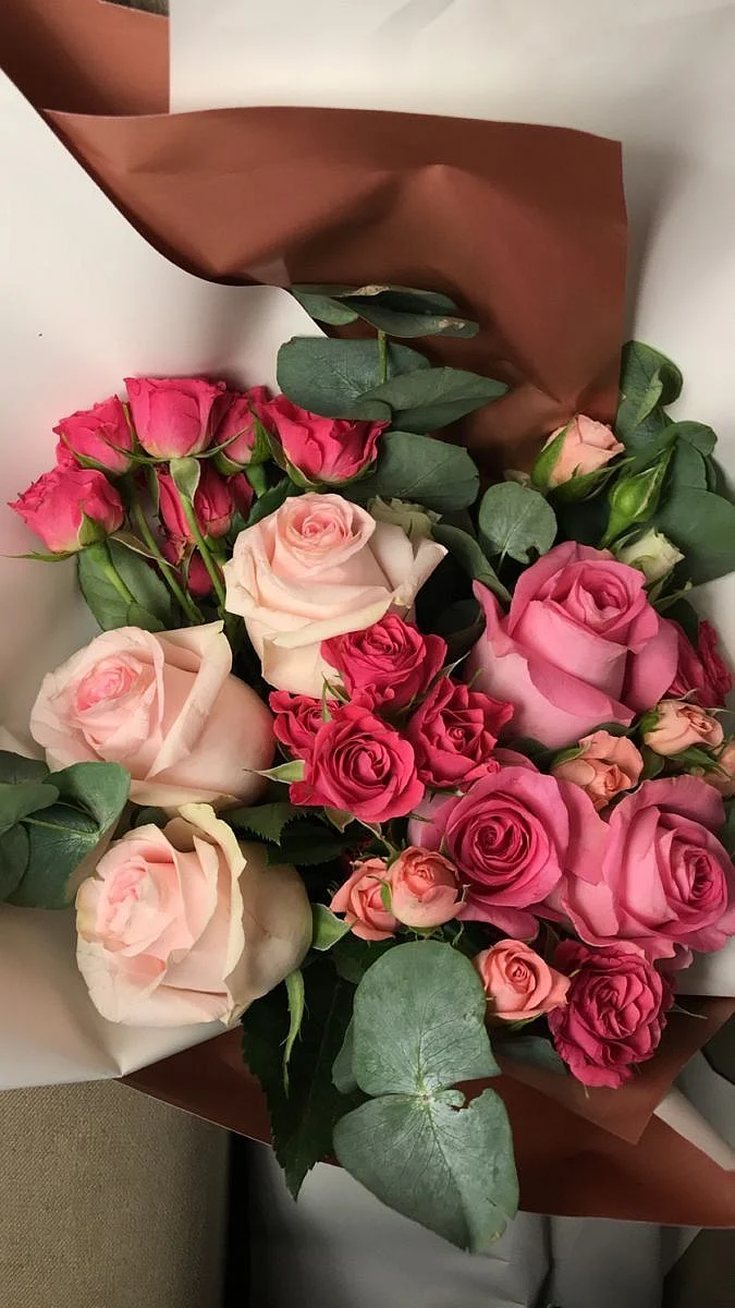 rose day 3