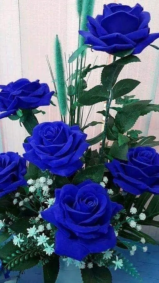 blue rose