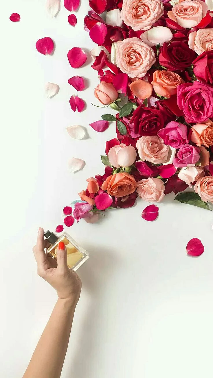 scented rose