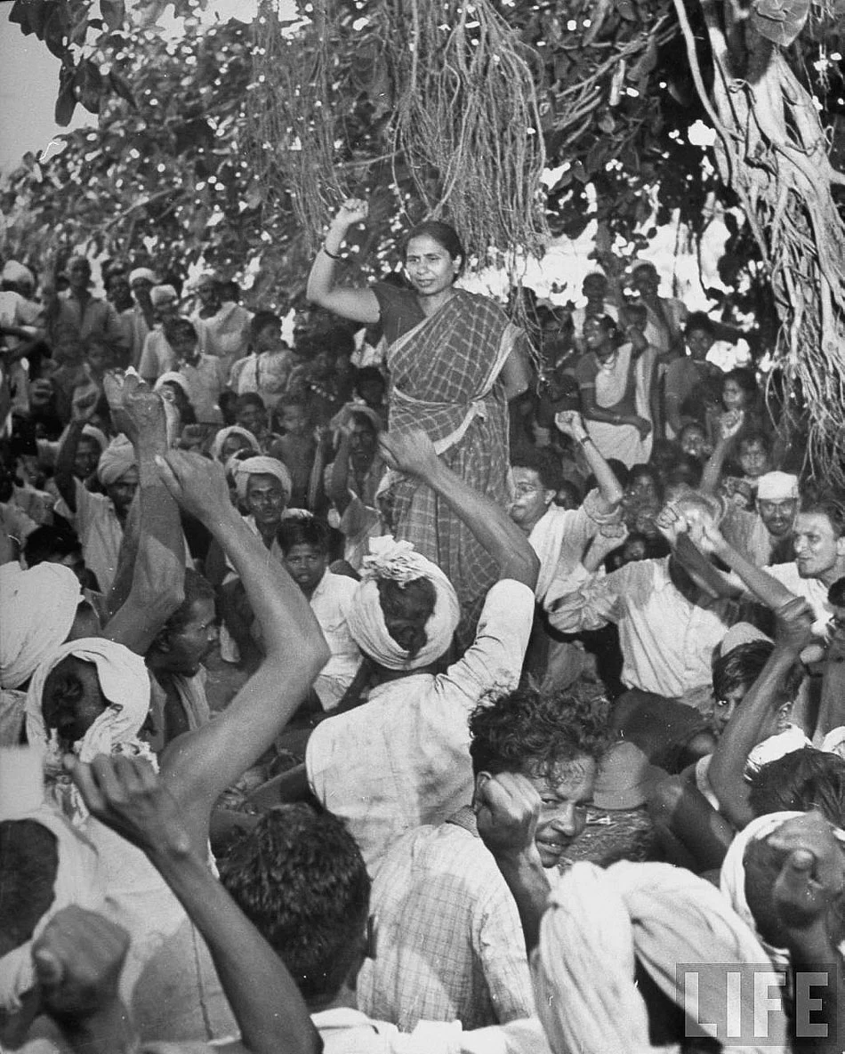 03 Godavari Parulekar 7