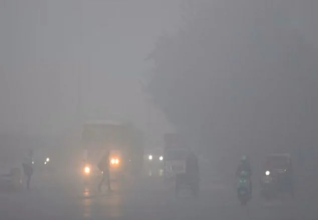 FOG 1