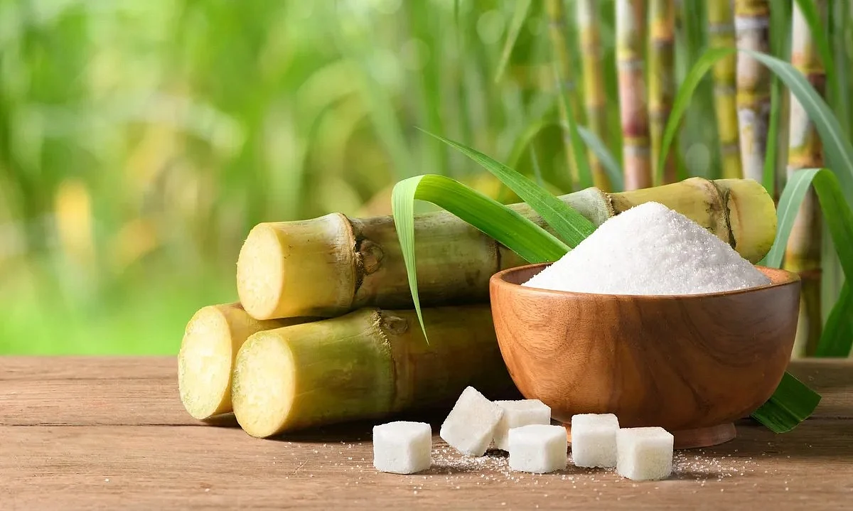 sugar stocks 1