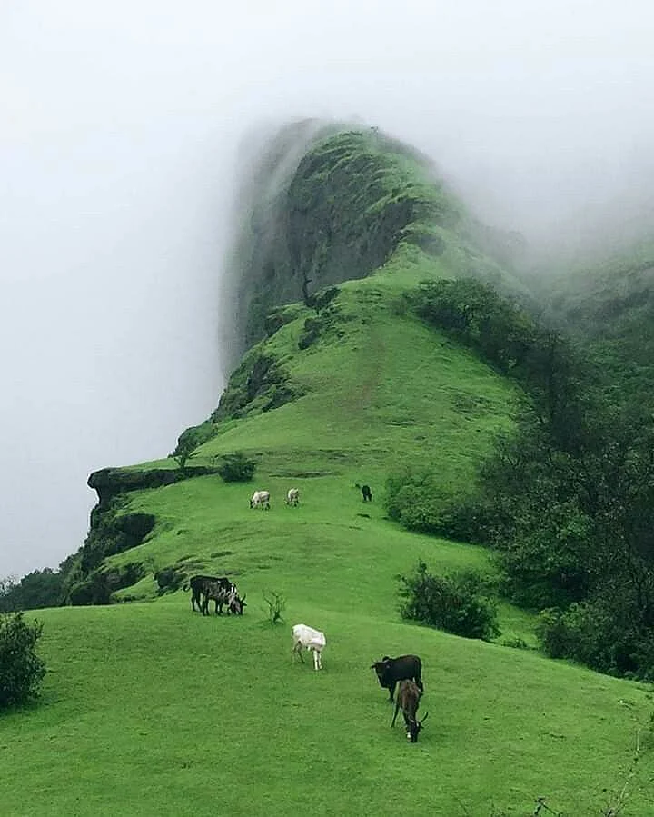 Dukes Nose Point Lonavala Maharashtra India 😍😍