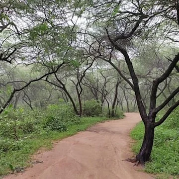 vasant kunj park