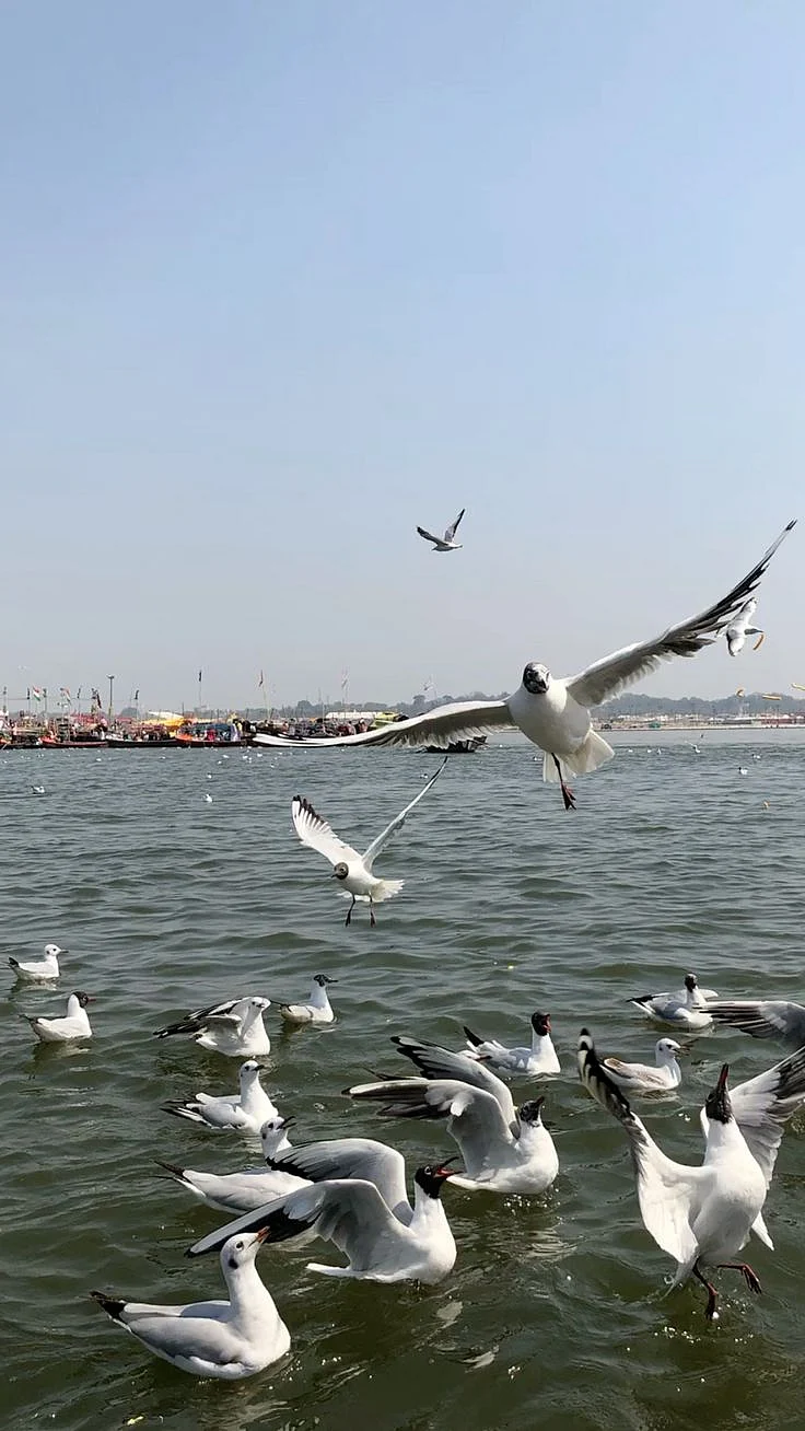 Triveni Sangam