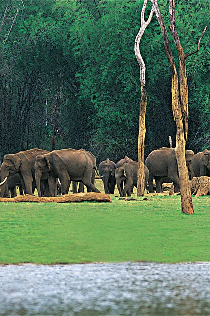 Thekkady