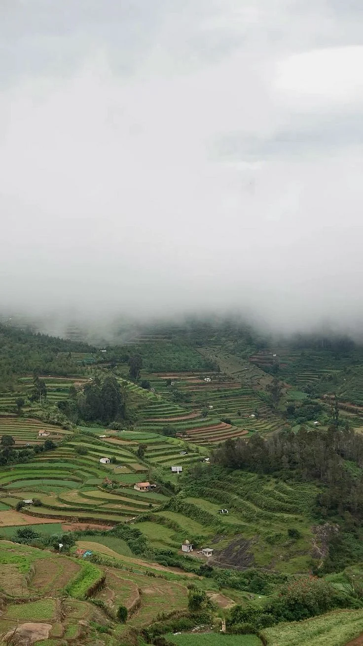 kodaikanal