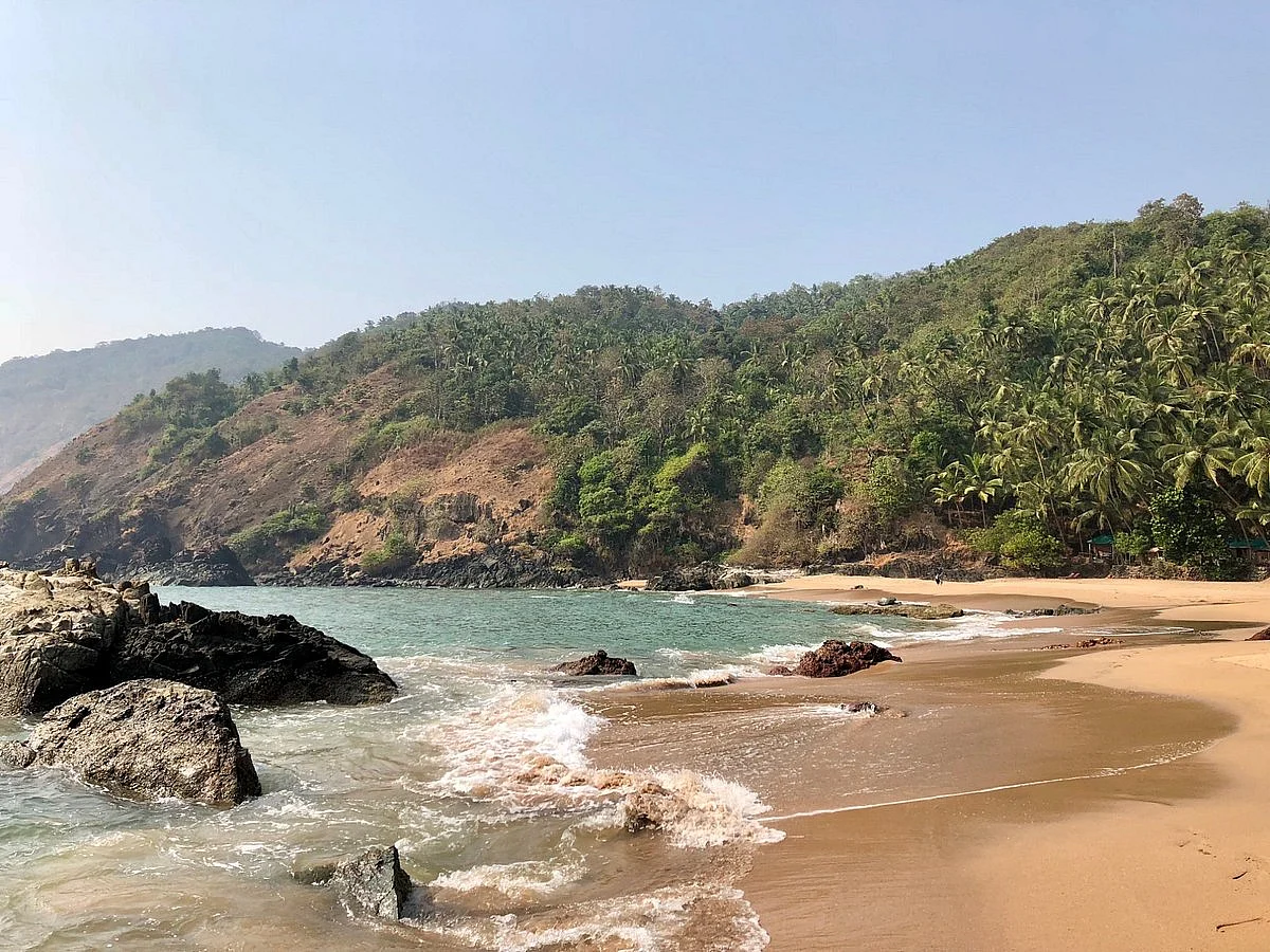 the beach shore is fairly