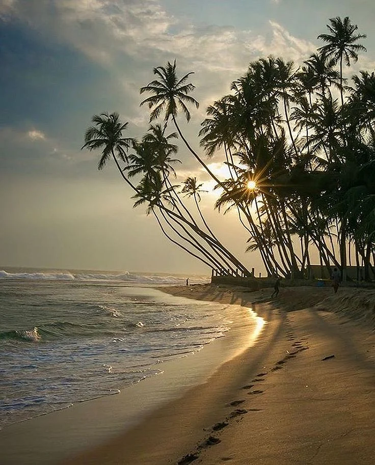 goa