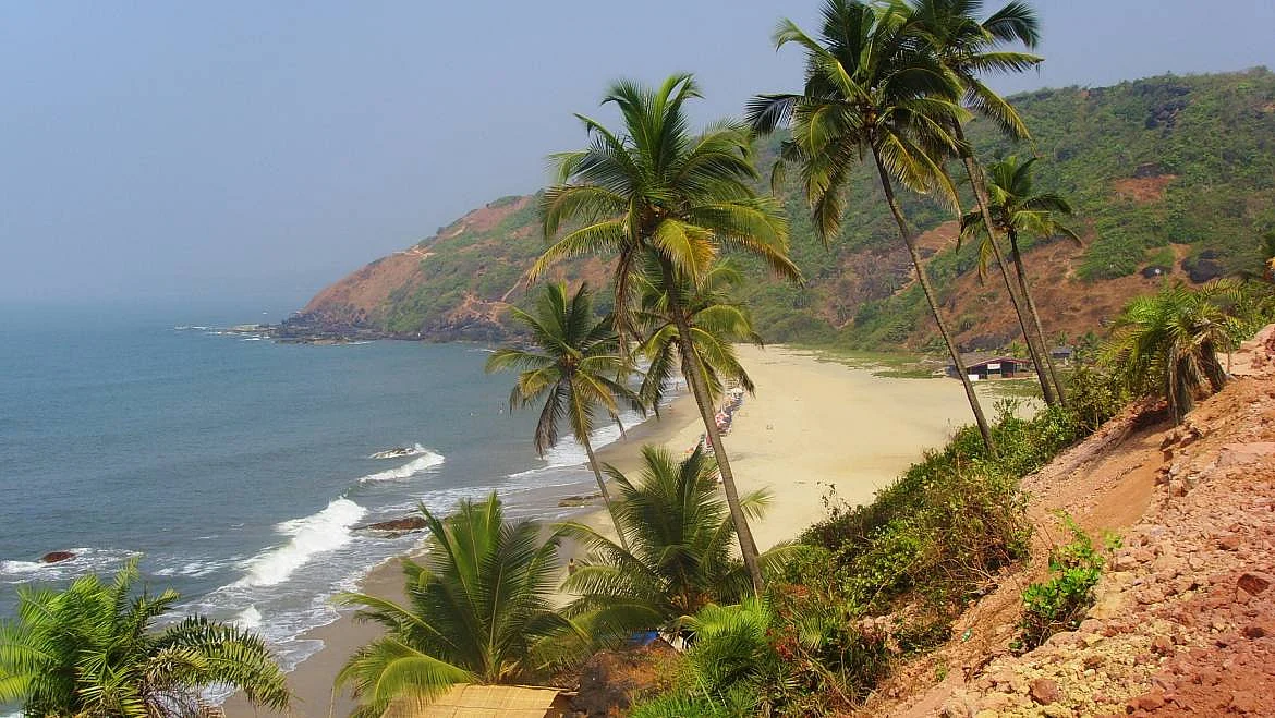 arambol beach goa