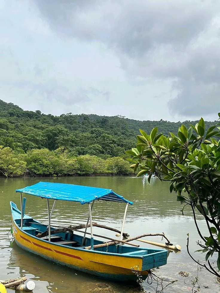 Palolem Beach