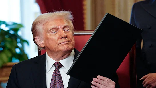 lan1t53donald